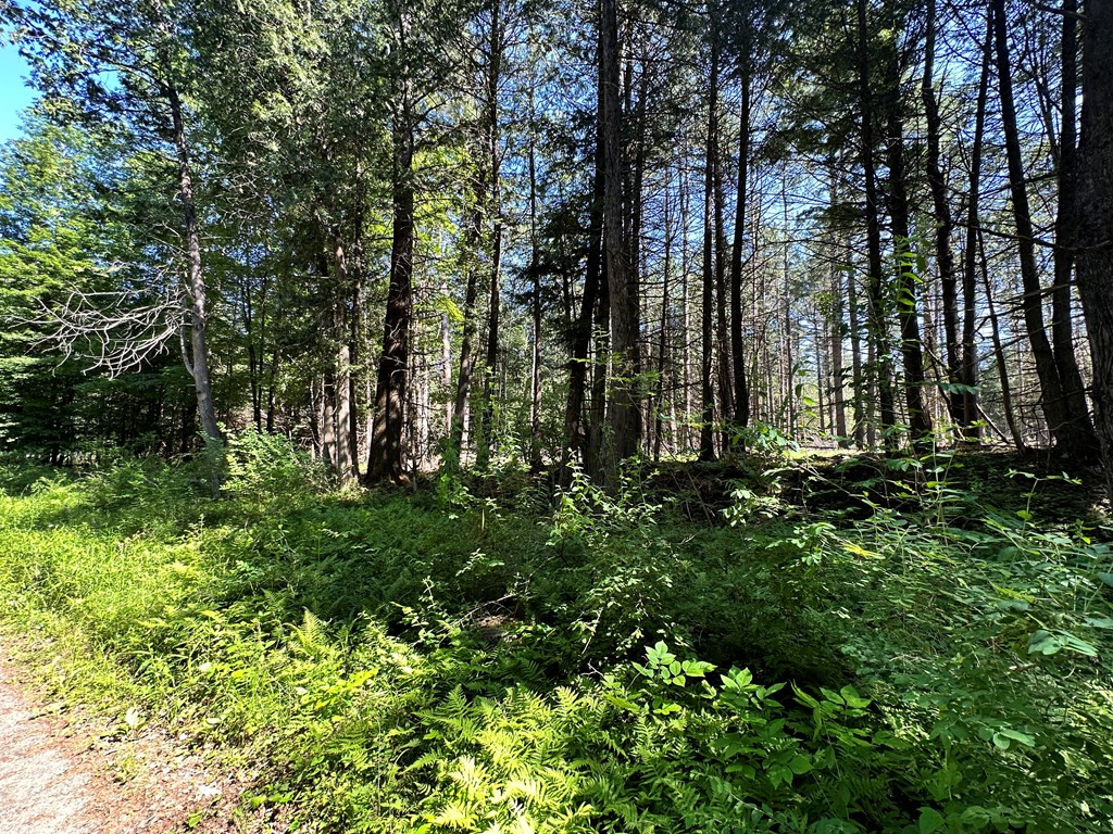 0 Mellow Way (Lot #5) Wilmington NY 12997