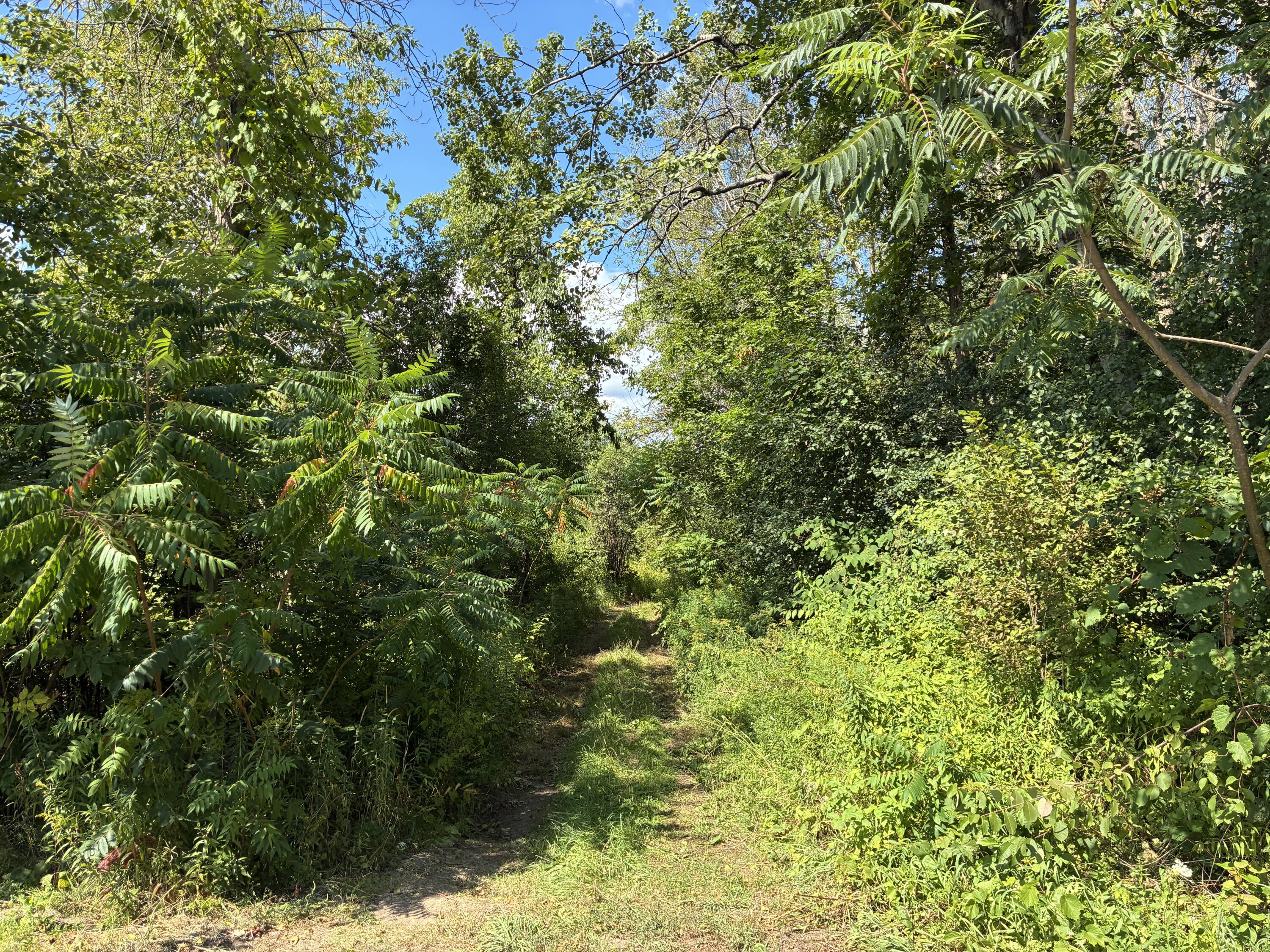 000 Seymour Road West Chazy NY 12992