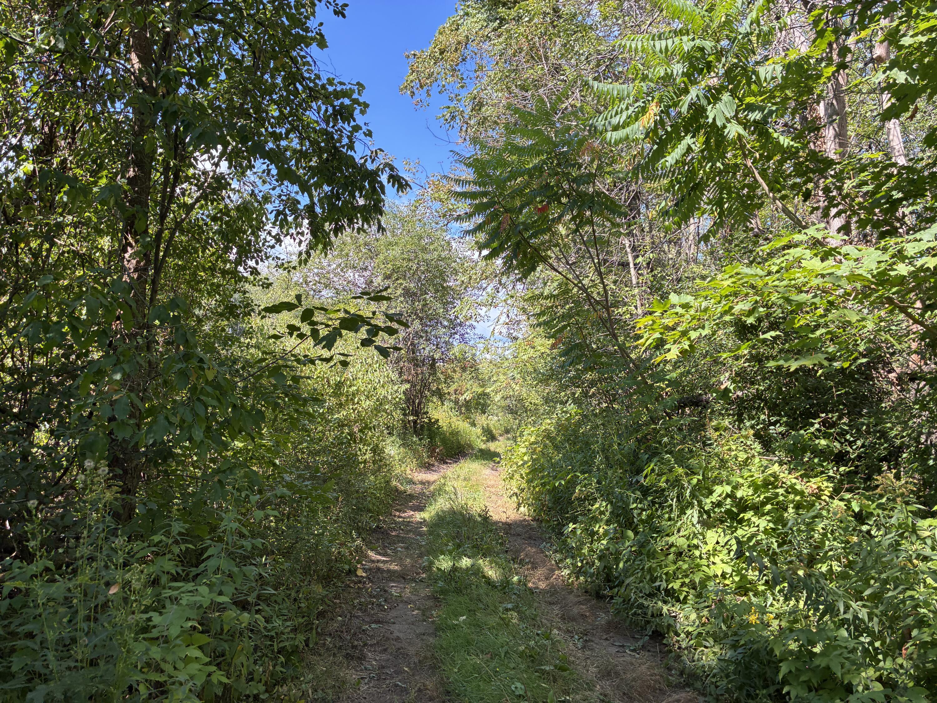 000 Seymour Road West Chazy NY 12992
