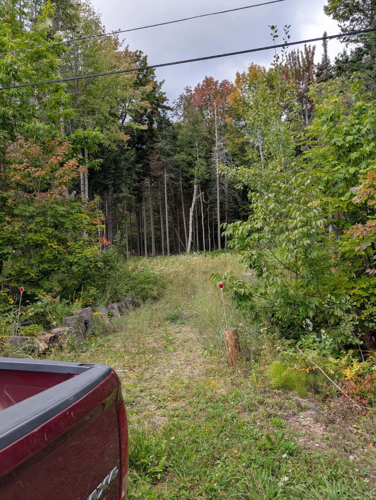 Lot 32 Garmish Street Dannemora NY 12929