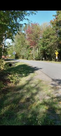 Lot 32 Garmish Street Dannemora NY 12929
