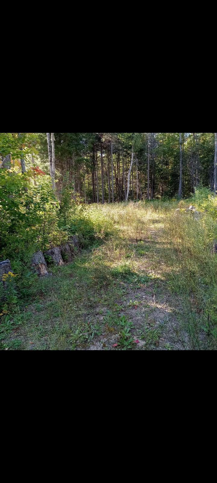 Lot 32 Garmish Street Dannemora NY 12929