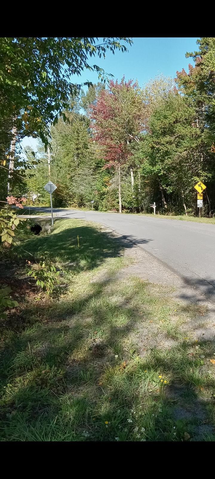 Lot 32 Garmish Street Dannemora NY 12929