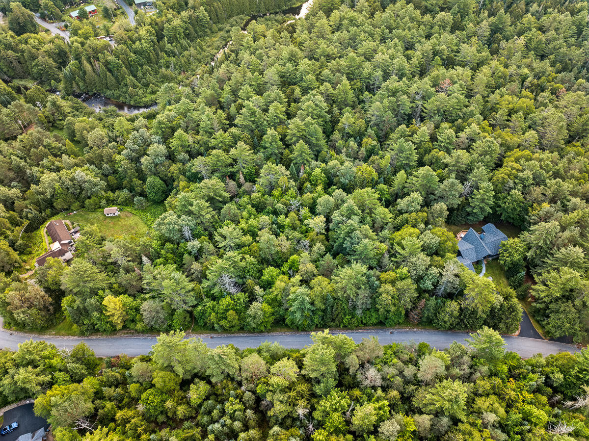 000 Algonquin Drive Lake Placid NY 12946