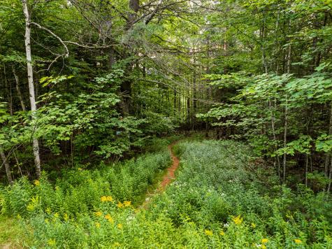 000 Algonquin Drive Lake Placid NY 12946