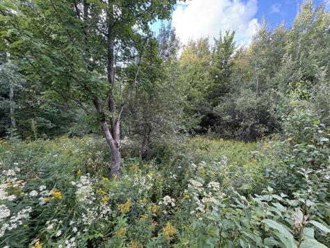 0 County Route 36 Burke NY 12917