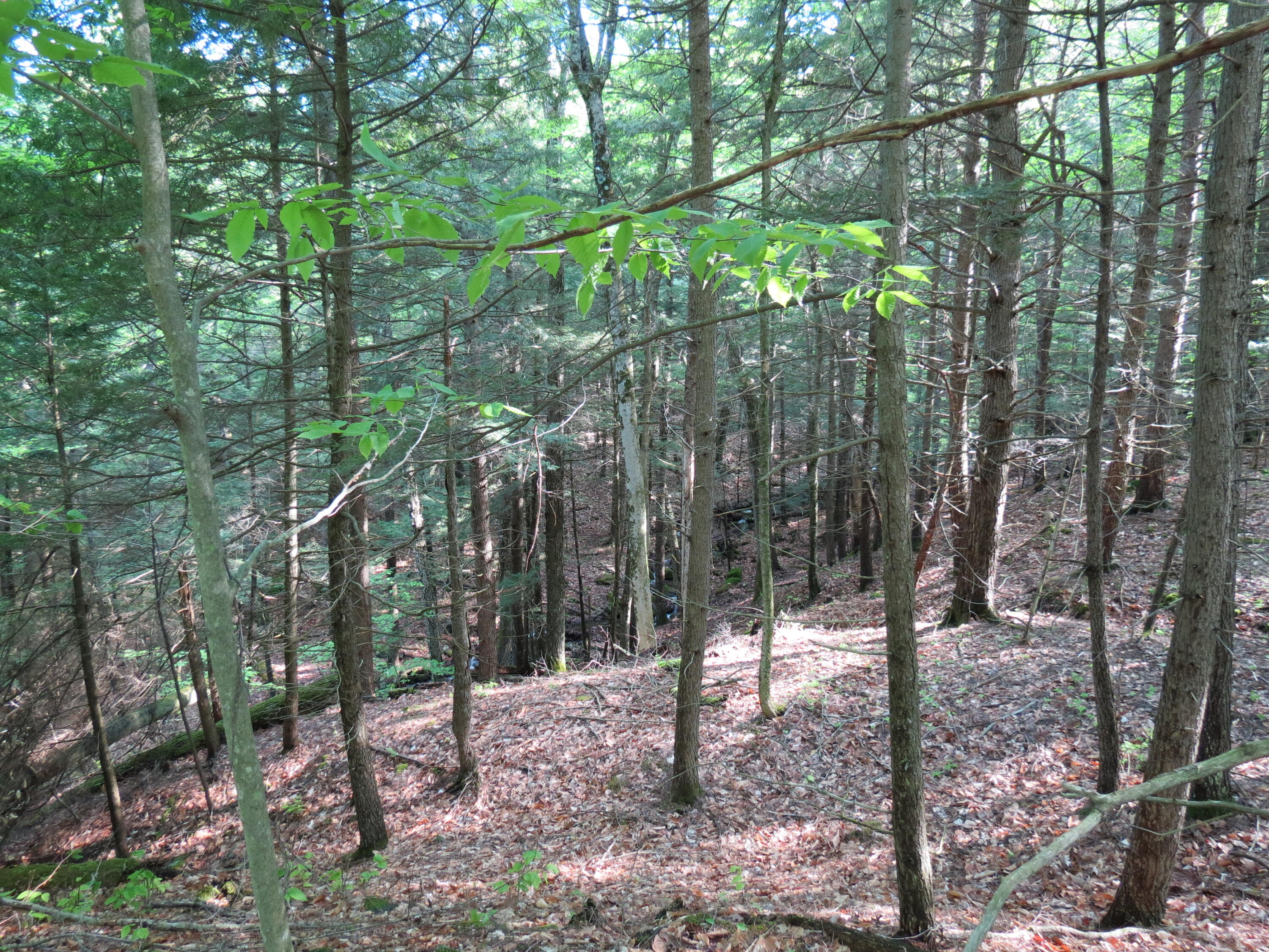 00 Nys Route 9n Keene NY 12942