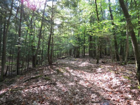00 Nys Route 9n Keene NY 12942