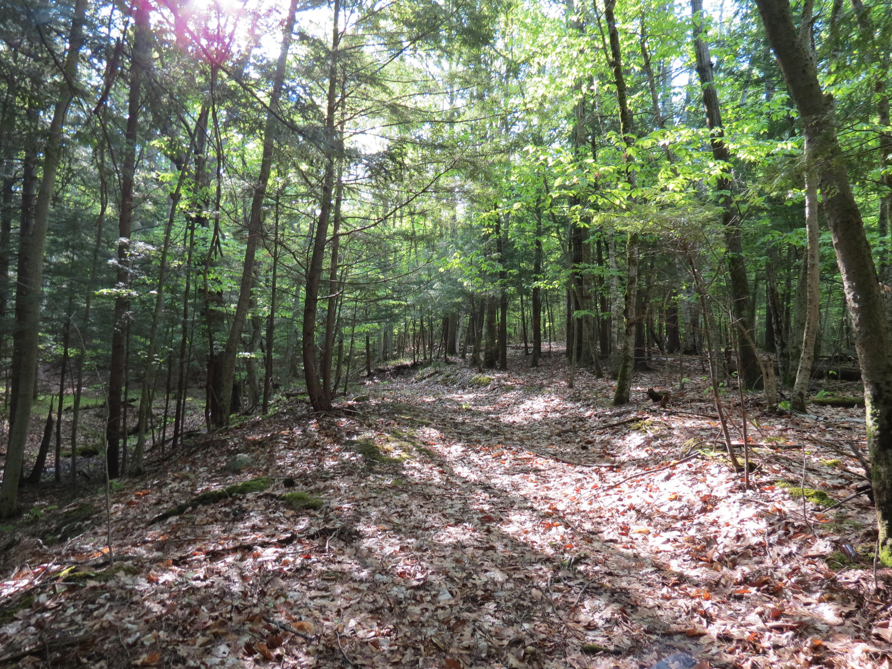 00 Nys Route 9n Keene NY 12942