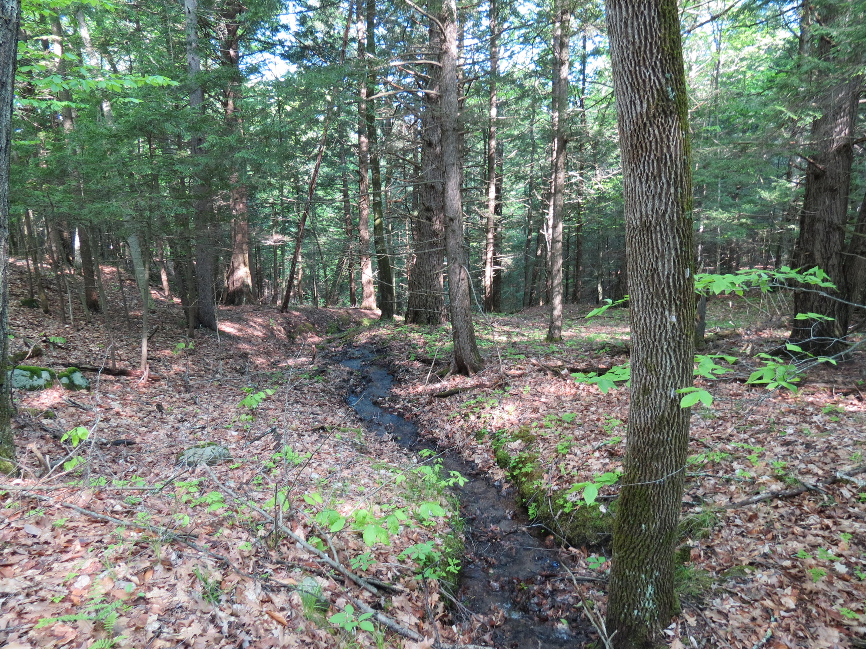 00 Nys Route 9n Keene NY 12942