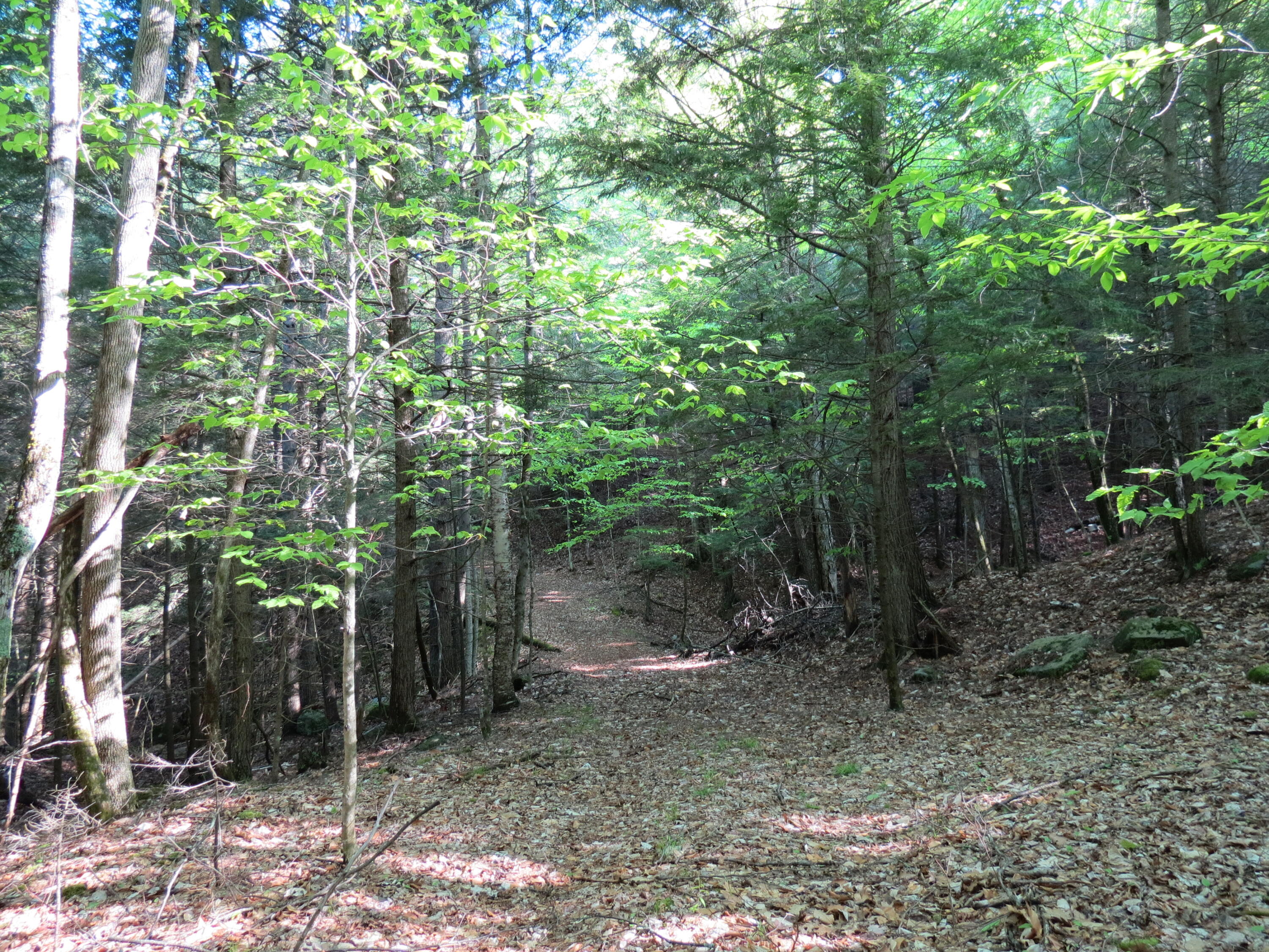 00 Nys Route 9n Keene NY 12942