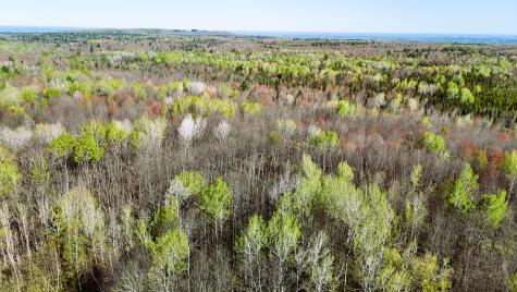 0 Limekiln Road Malone NY 12953