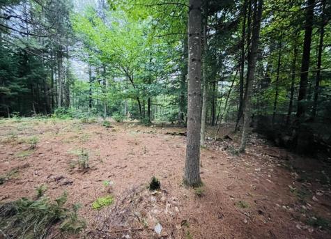 243 Priest Road Redford NY 12978
