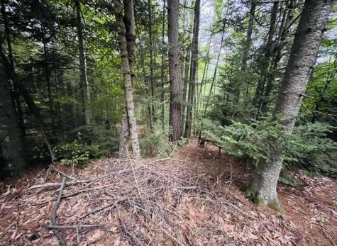 243 Priest Road Redford NY 12978