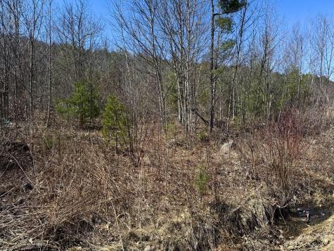 197 Moss Road Lewis NY 12950