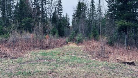 0 Standish Road Saranac NY 12981