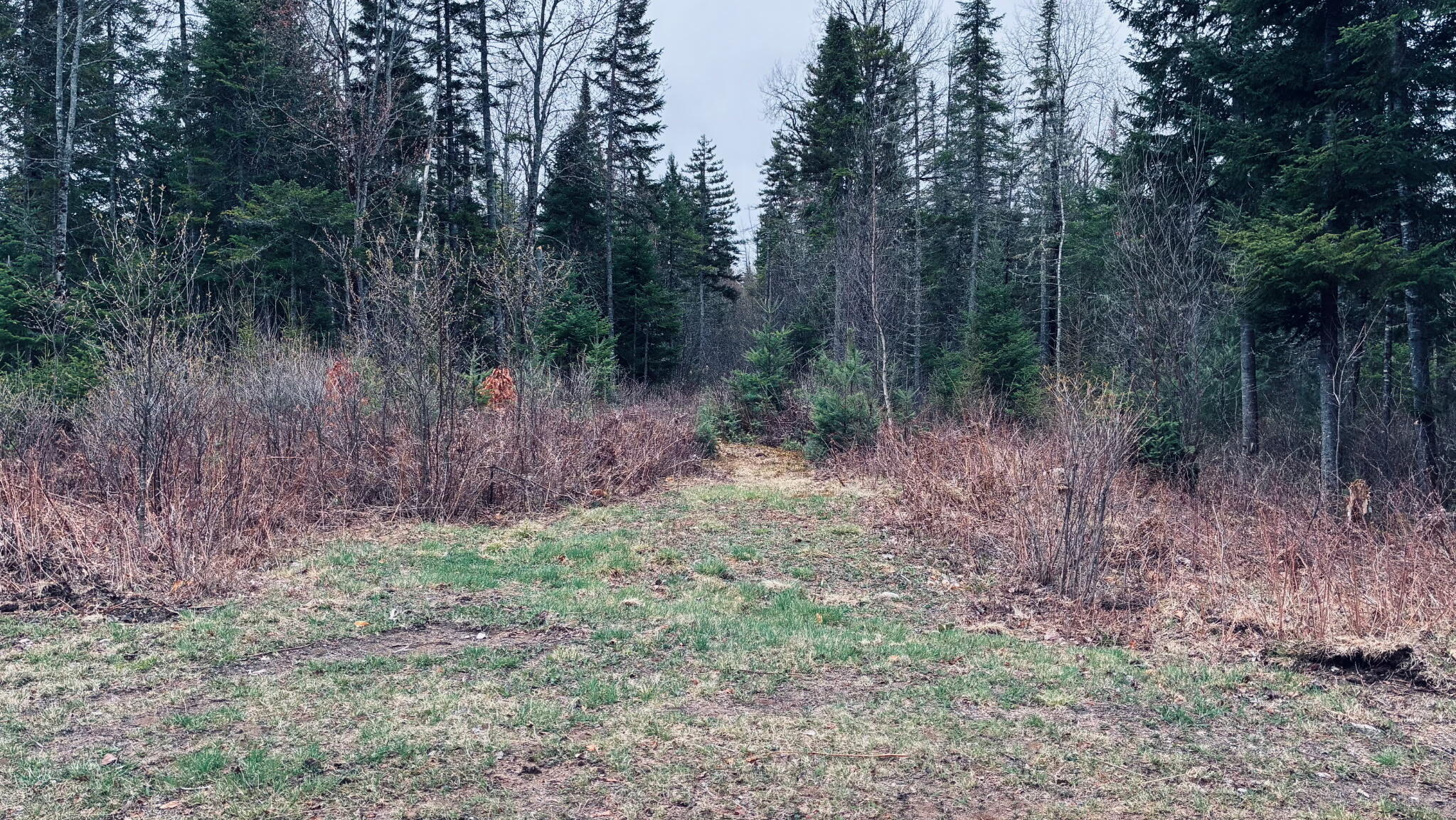 0 Standish Road Saranac NY 12981