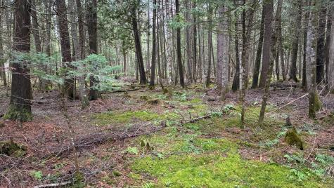 0 Standish Road Saranac NY 12981