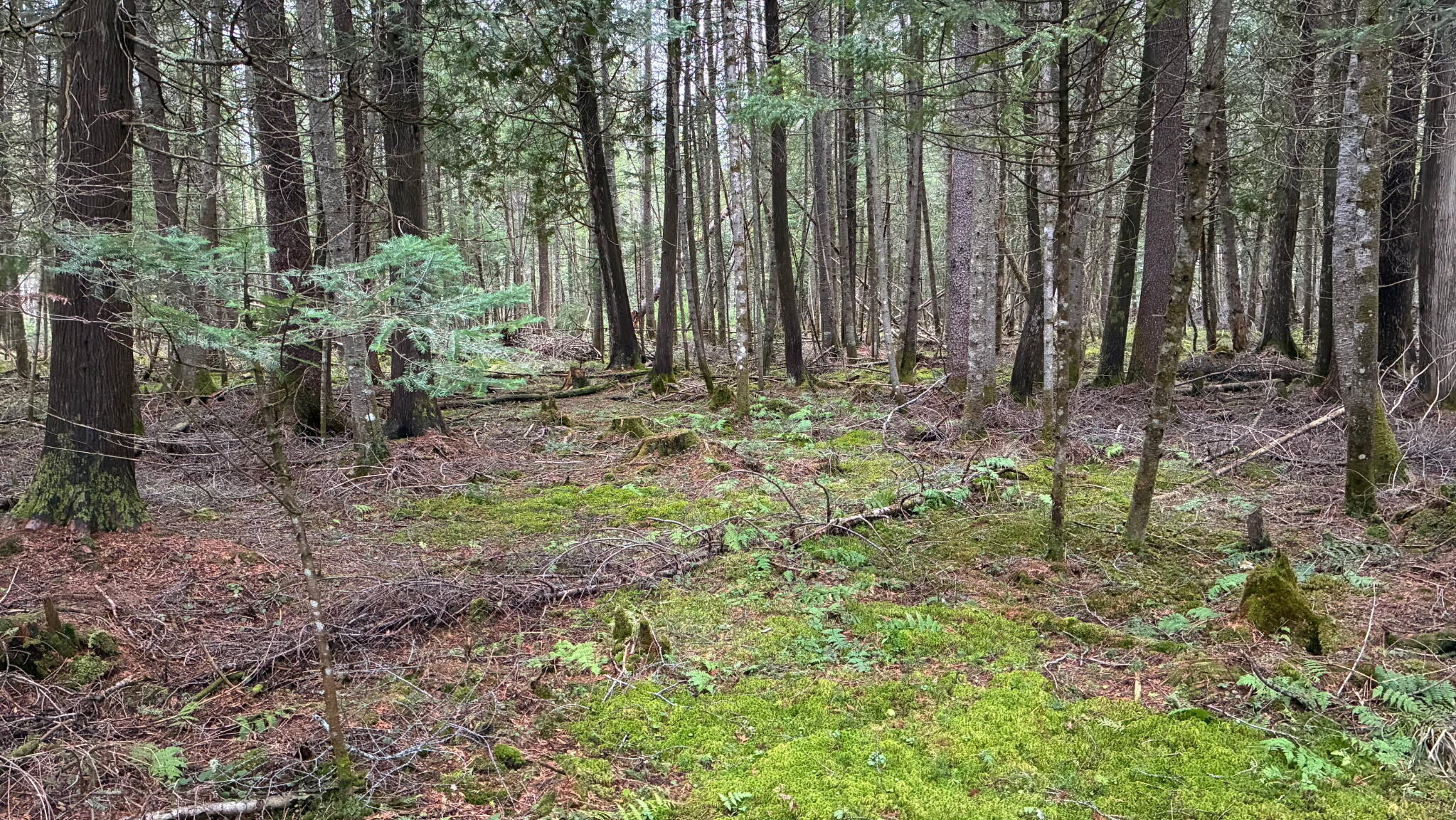 0 Standish Road Saranac NY 12981