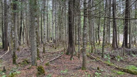 0 Standish Road Saranac NY 12981
