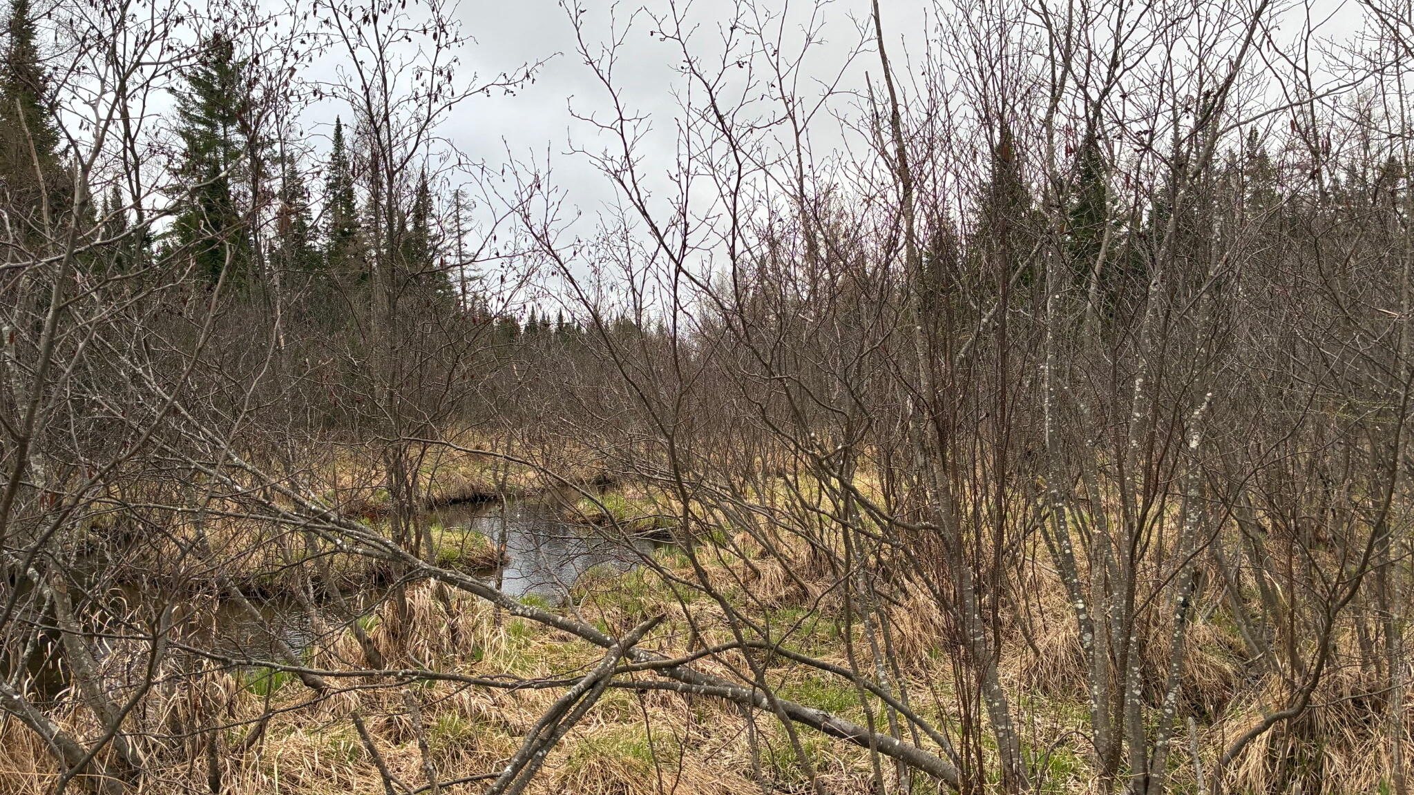 0 Standish Road Saranac NY 12981