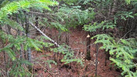 0 Standish Road Saranac NY 12981