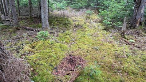 0 Standish Road Saranac NY 12981