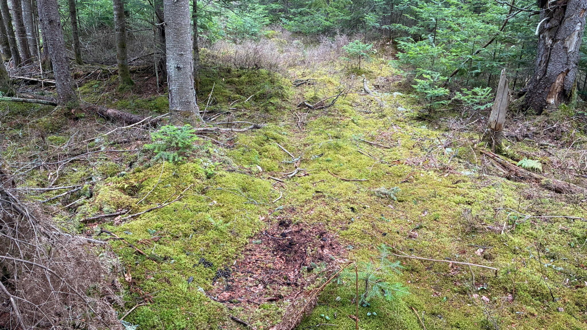 0 Standish Road Saranac NY 12981