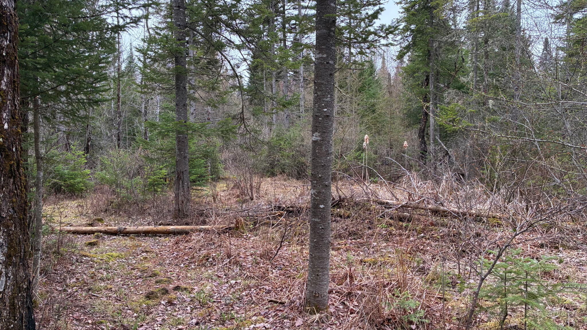 0 Standish Road Saranac NY 12981