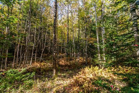 0 Rockwell Road Schuyler Falls NY 12985