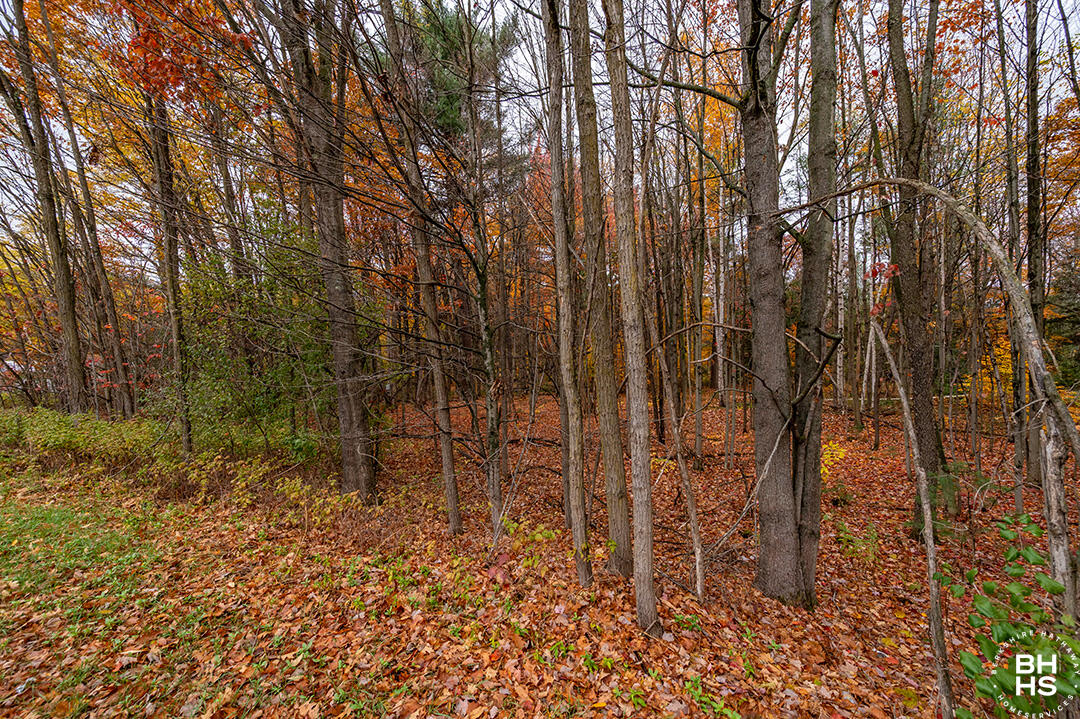 0 Rockwell Road Schuyler Falls NY 12985
