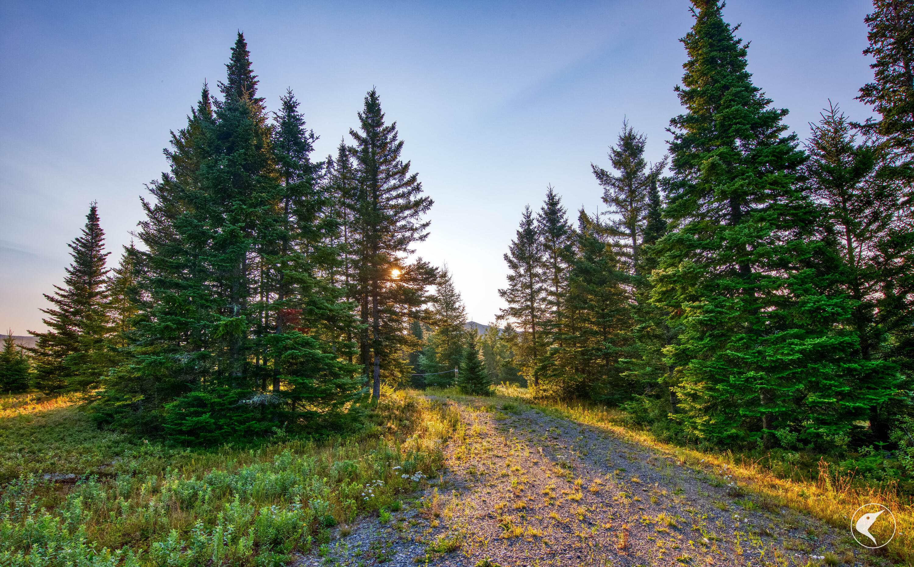 196 Far Horizon Drive Lake Placid NY 12946