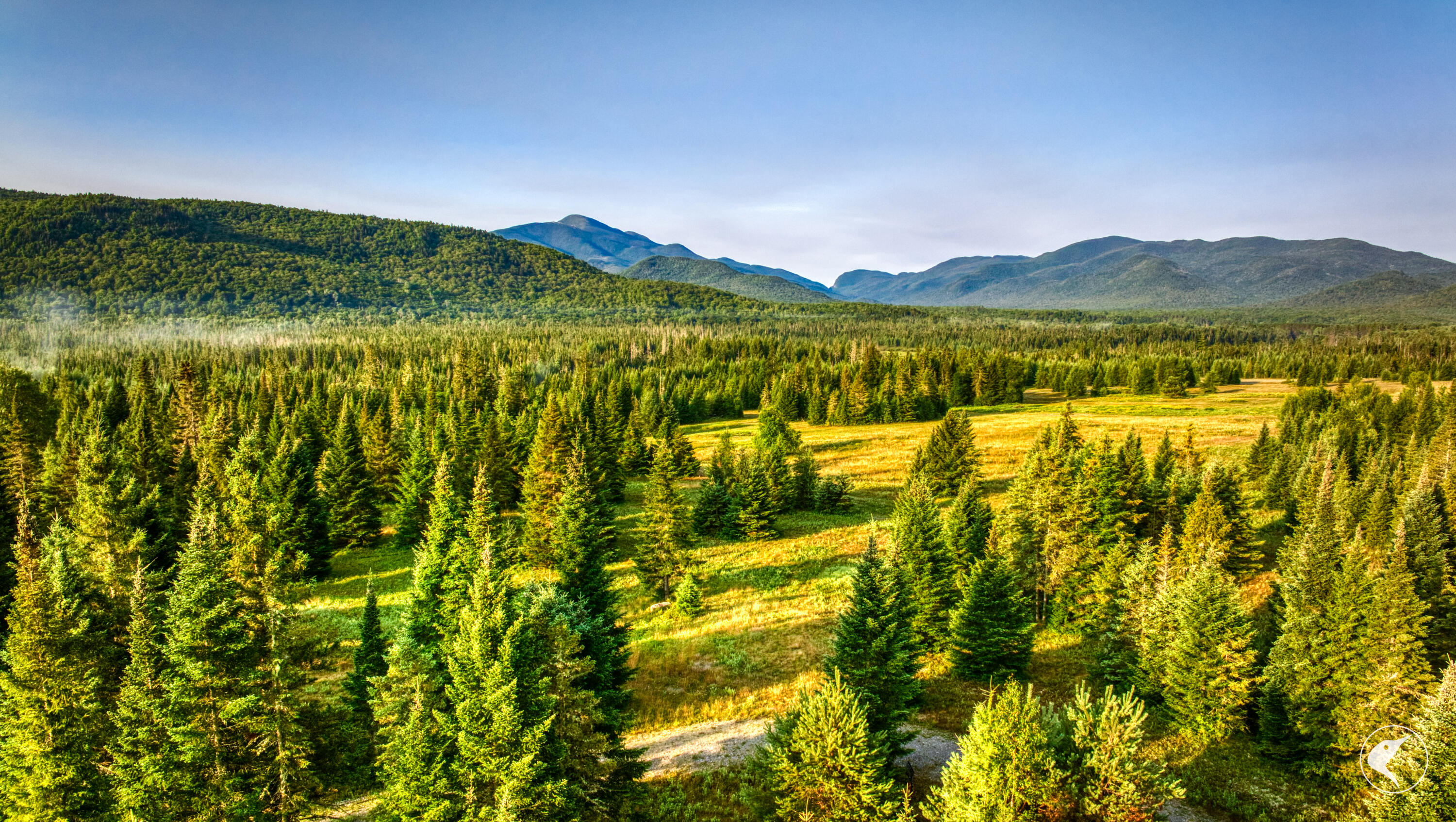 196 Far Horizon Drive Lake Placid NY 12946