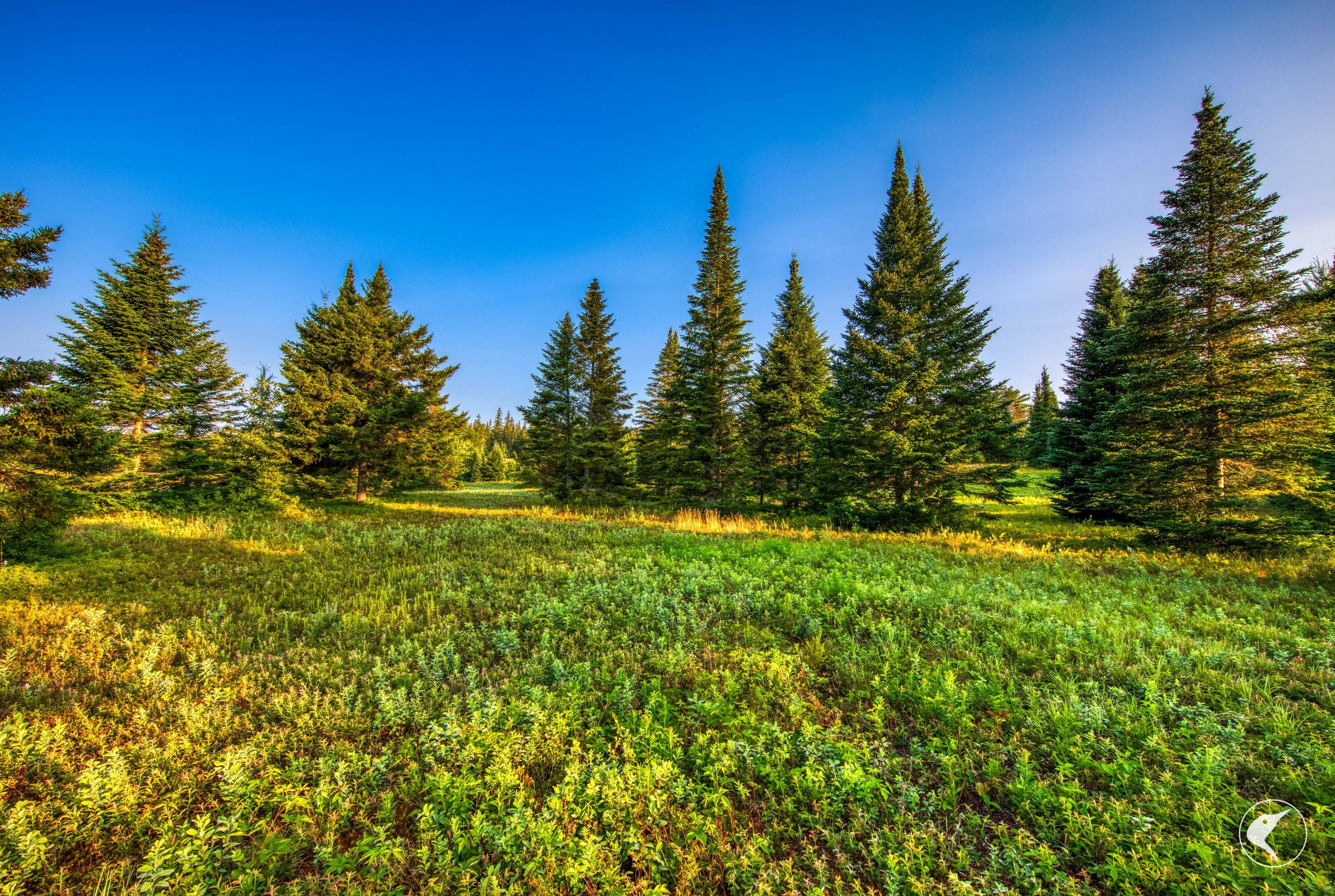 196 Far Horizon Drive Lake Placid NY 12946