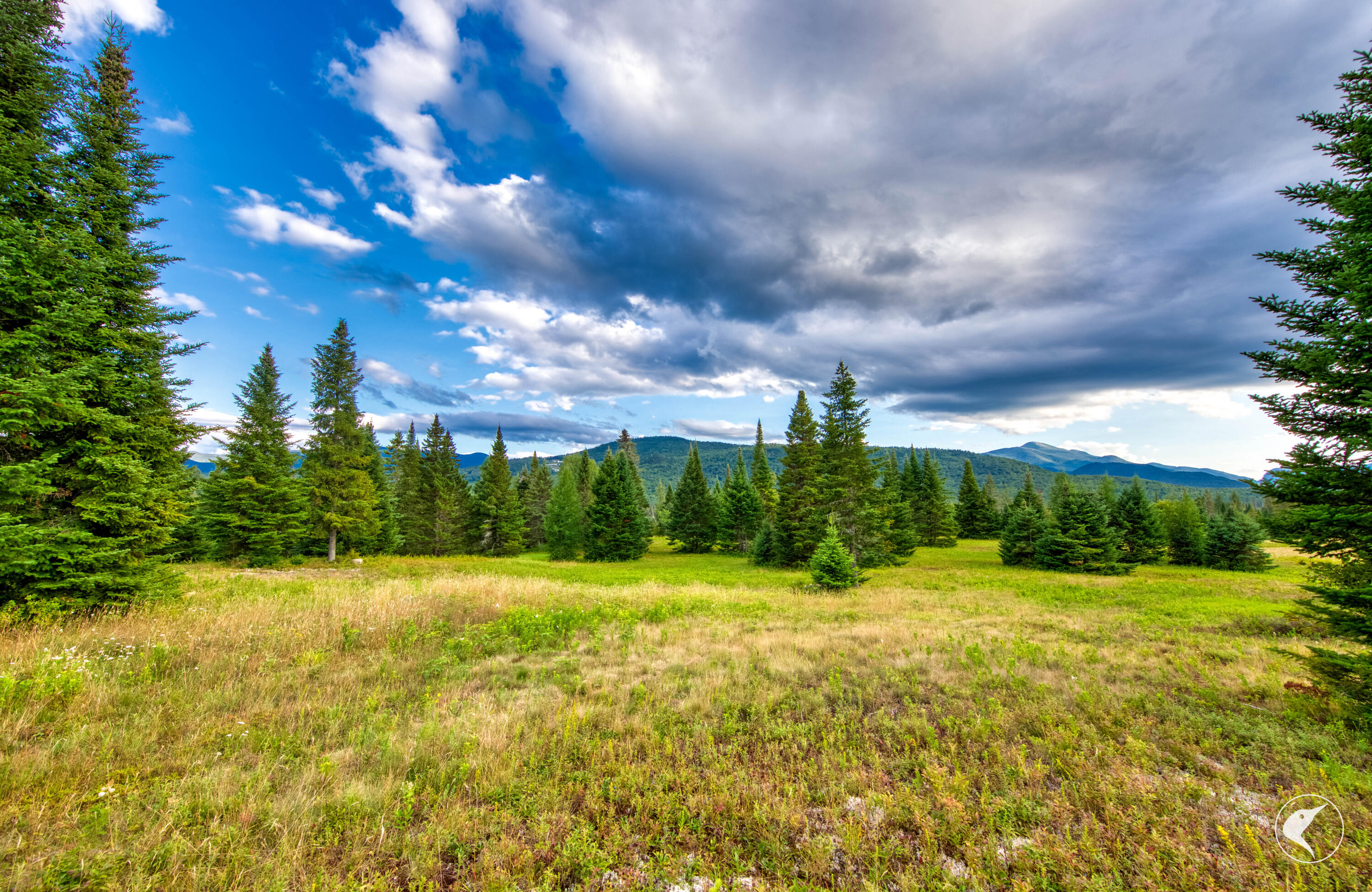 196 Far Horizon Drive Lake Placid NY 12946