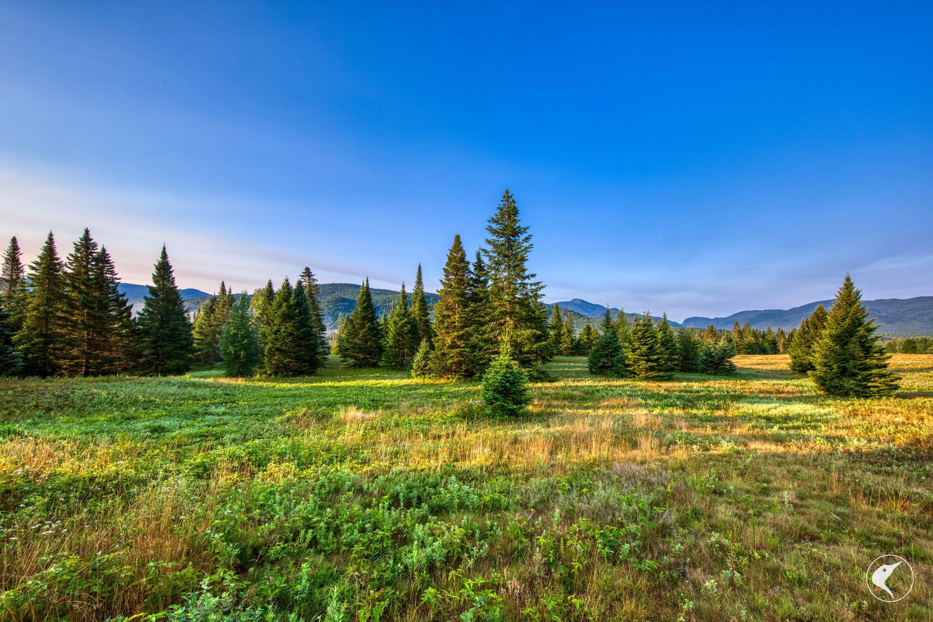 196 Far Horizon Drive Lake Placid NY 12946