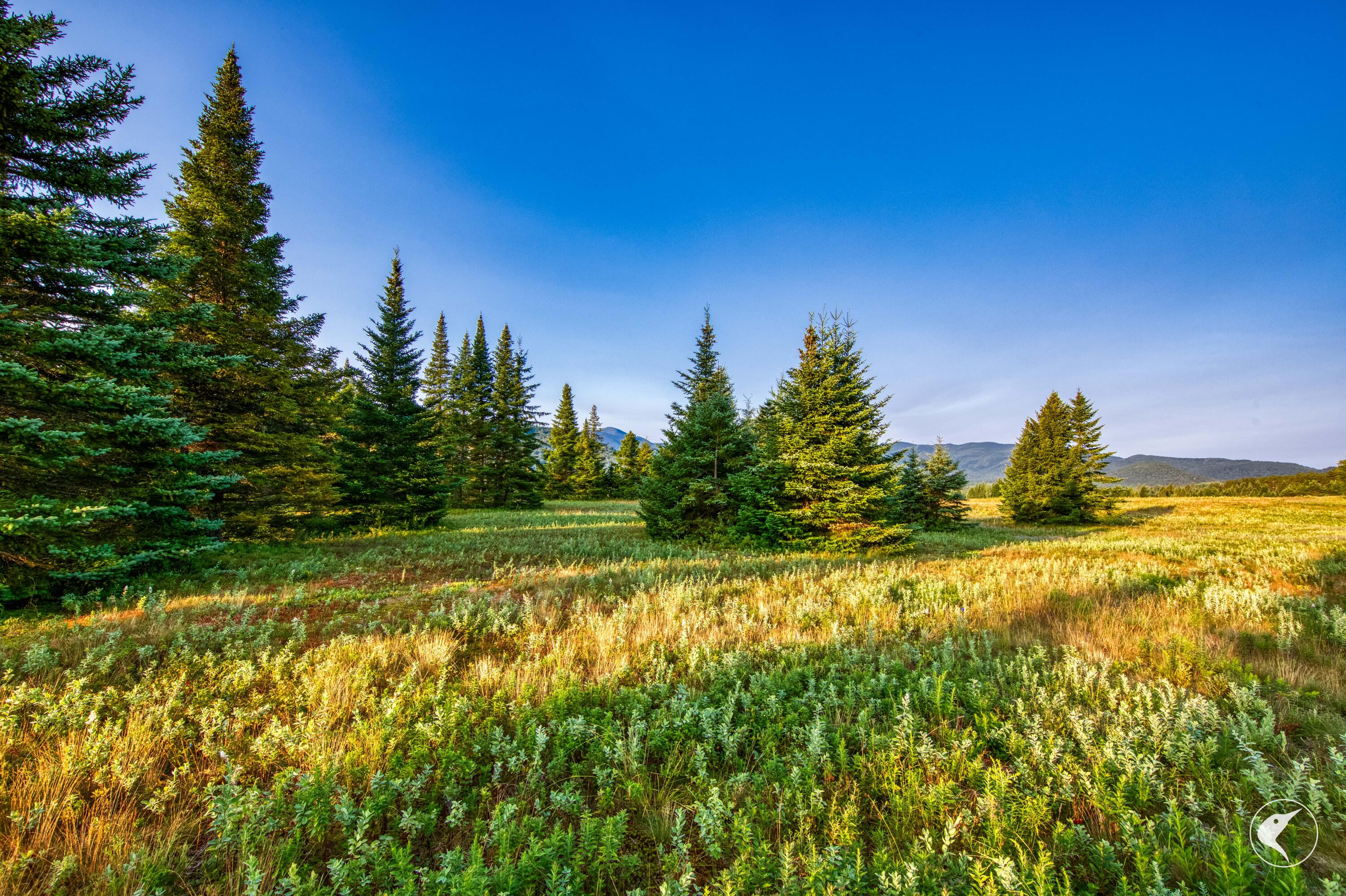196 Far Horizon Drive Lake Placid NY 12946