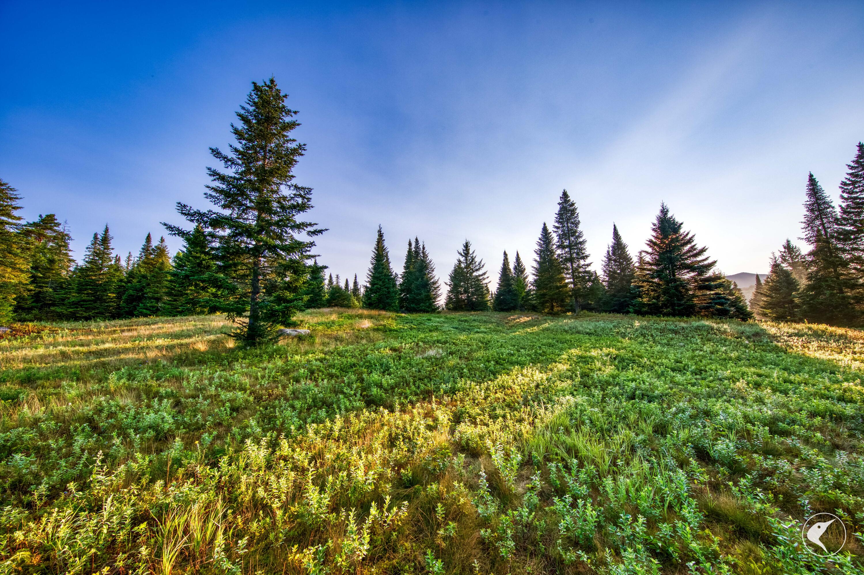 196 Far Horizon Drive Lake Placid NY 12946