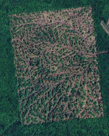 . Sharrett Road Ellenburg NY 12933