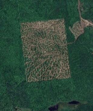 . Sharrett Road Ellenburg NY 12933