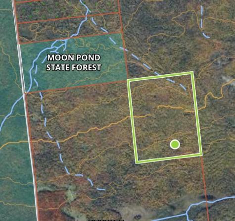 . Sharrett Road Ellenburg NY 12933