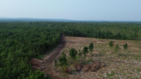 . Sharrett Road Ellenburg NY 12933