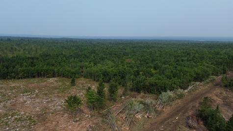 . Sharrett Road Ellenburg NY 12933