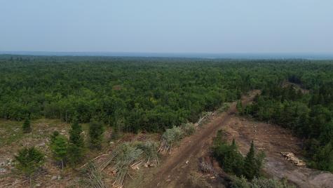 . Sharrett Road Ellenburg NY 12933