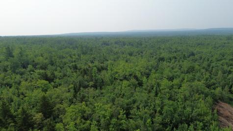 . Sharrett Road Ellenburg NY 12933