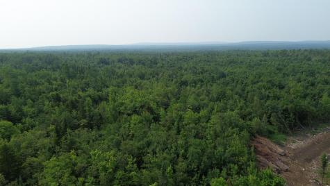 . Sharrett Road Ellenburg NY 12933