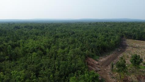 . Sharrett Road Ellenburg NY 12933