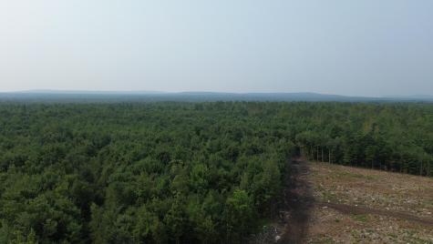 . Sharrett Road Ellenburg NY 12933