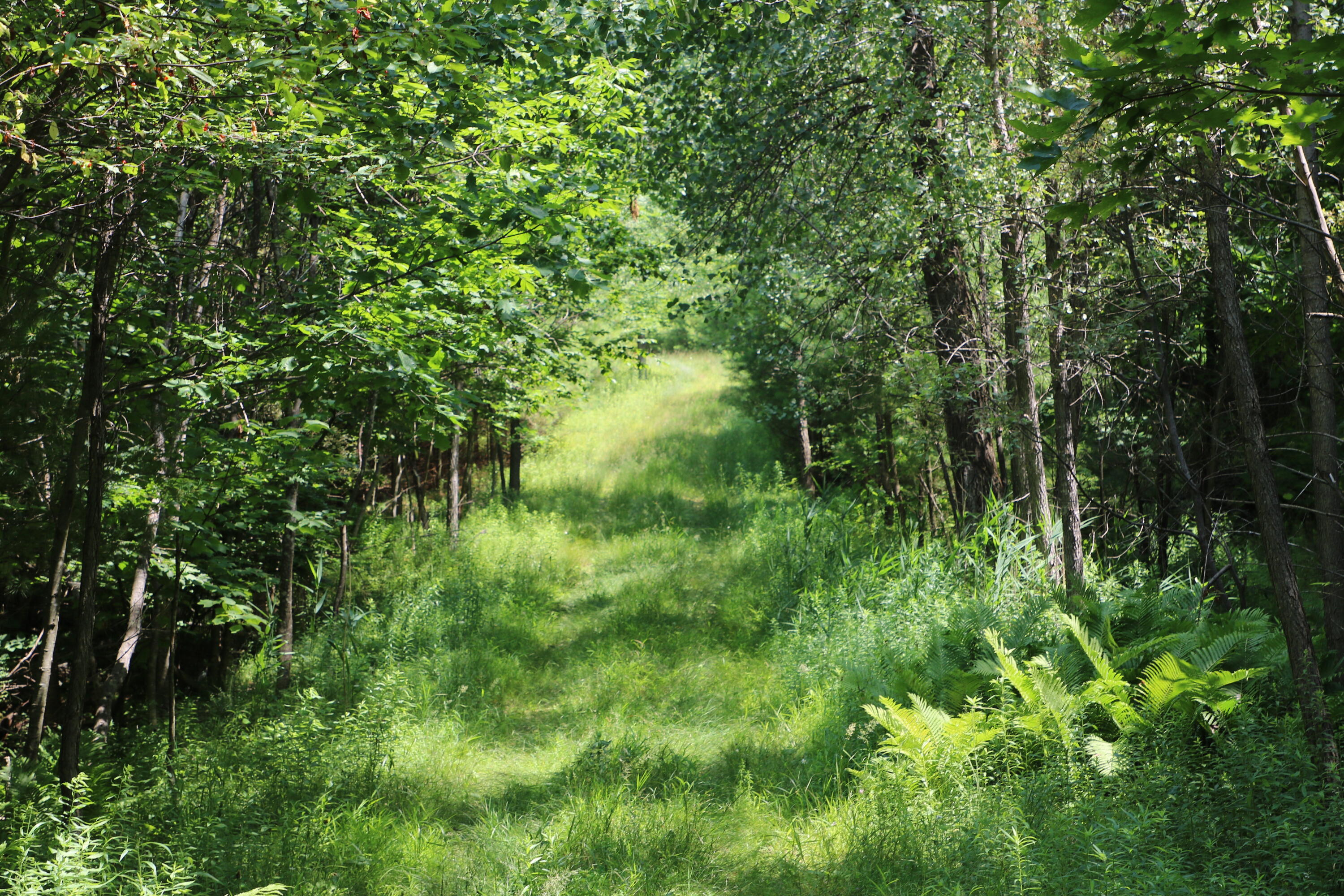 Tbd Highland Road Keeseville NY 12944