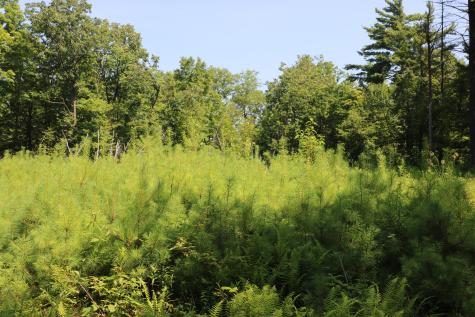 Tbd Highland Road Keeseville NY 12944